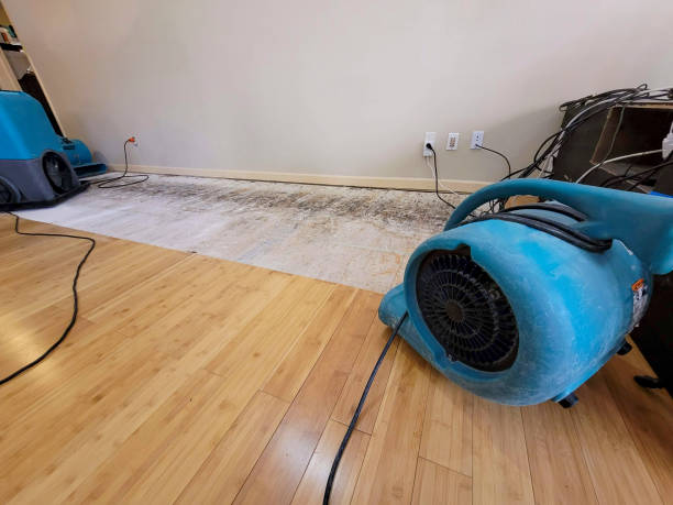 Professional Water Extraction technician working in Savannah, TN